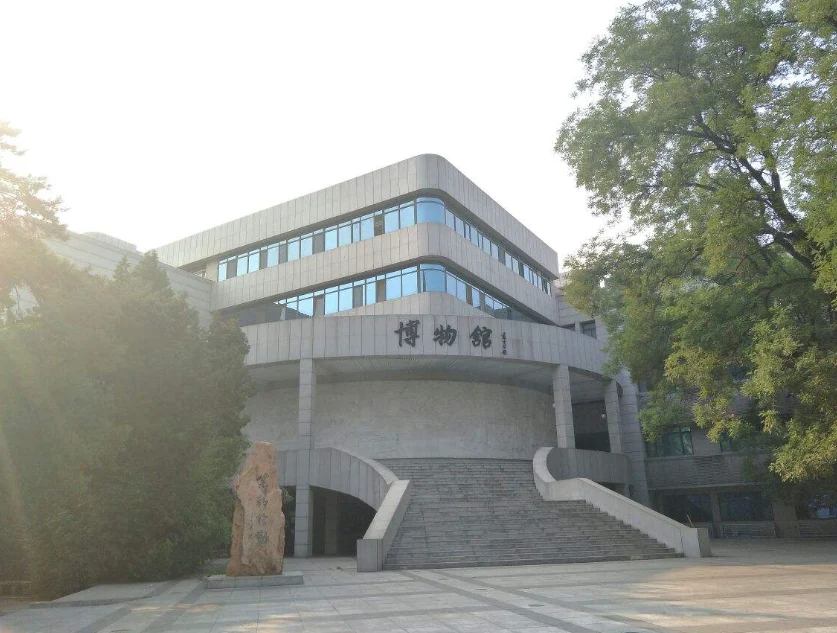 中国人民大学博物馆:让预约成为观展的一部分