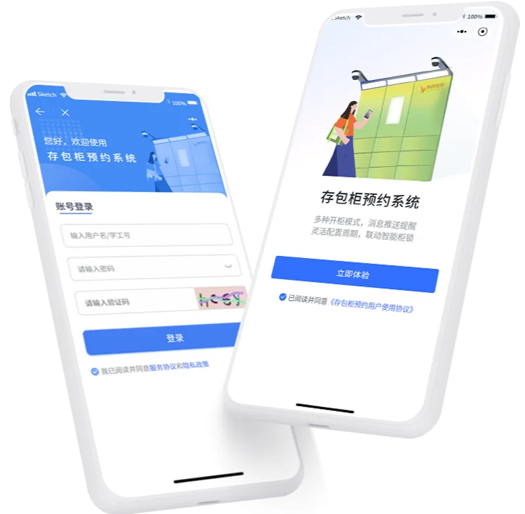 定制化开发
